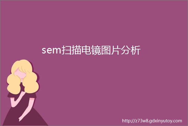 sem扫描电镜图片分析